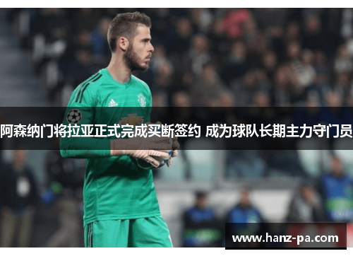 阿森纳门将拉亚正式完成买断签约 成为球队长期主力守门员