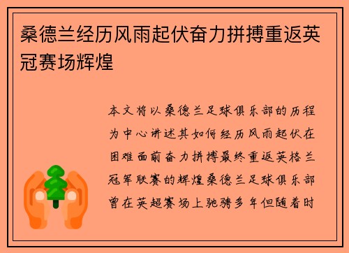 桑德兰经历风雨起伏奋力拼搏重返英冠赛场辉煌