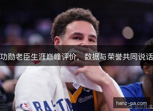 功勋老臣生涯巅峰评价，数据与荣誉共同说话
